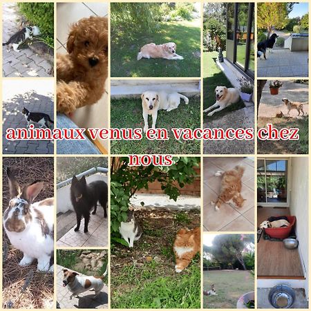 Gite Ma Vie La 3 Etoiles, Jacuzzi, Animaux Acceptes Saint-Julien-de-Cassagnas Екстериор снимка