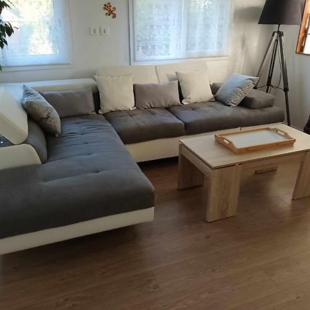 Gite Ma Vie La 3 Etoiles, Jacuzzi, Animaux Acceptes Saint-Julien-de-Cassagnas Екстериор снимка