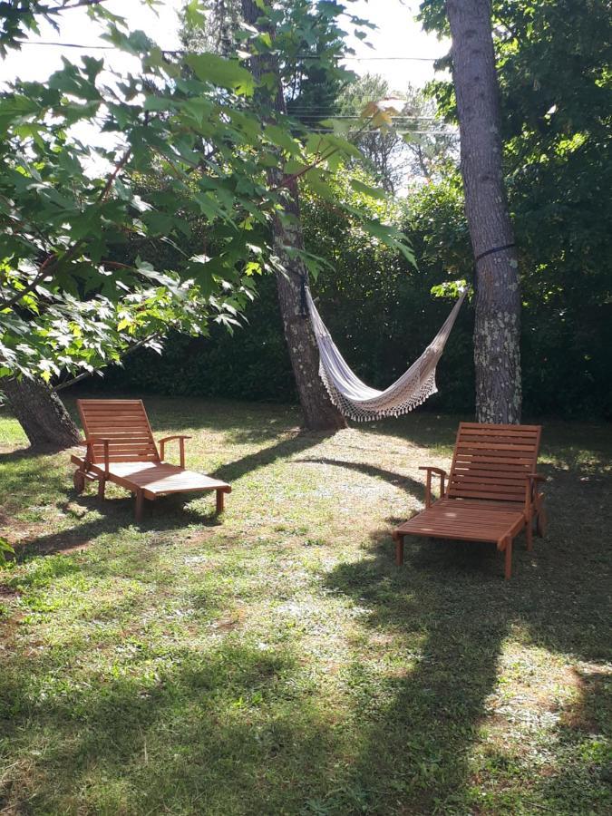 Gite Ma Vie La 3 Etoiles, Jacuzzi, Animaux Acceptes Saint-Julien-de-Cassagnas Екстериор снимка