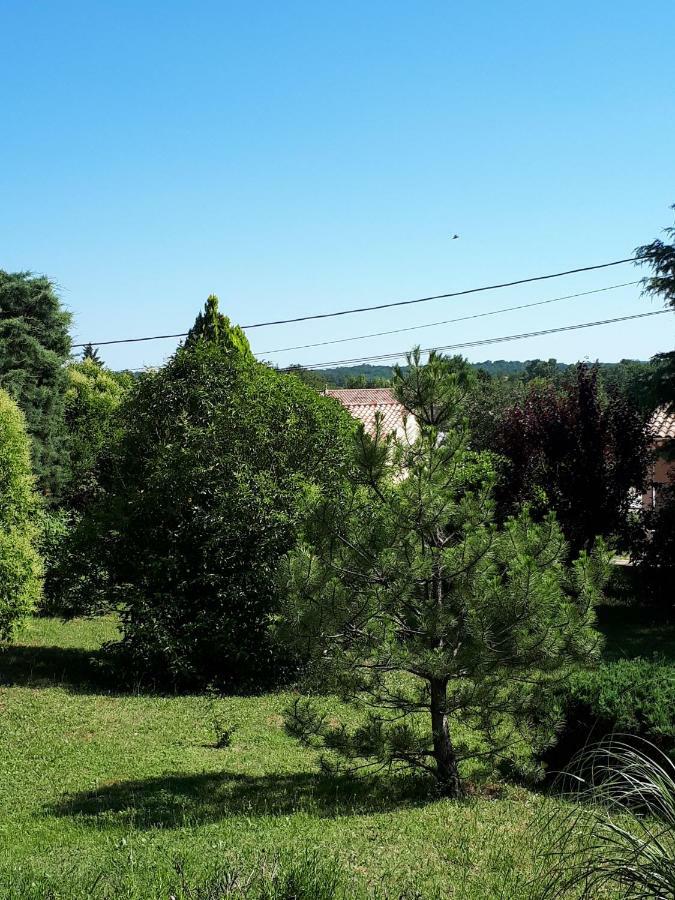 Gite Ma Vie La 3 Etoiles, Jacuzzi, Animaux Acceptes Saint-Julien-de-Cassagnas Екстериор снимка